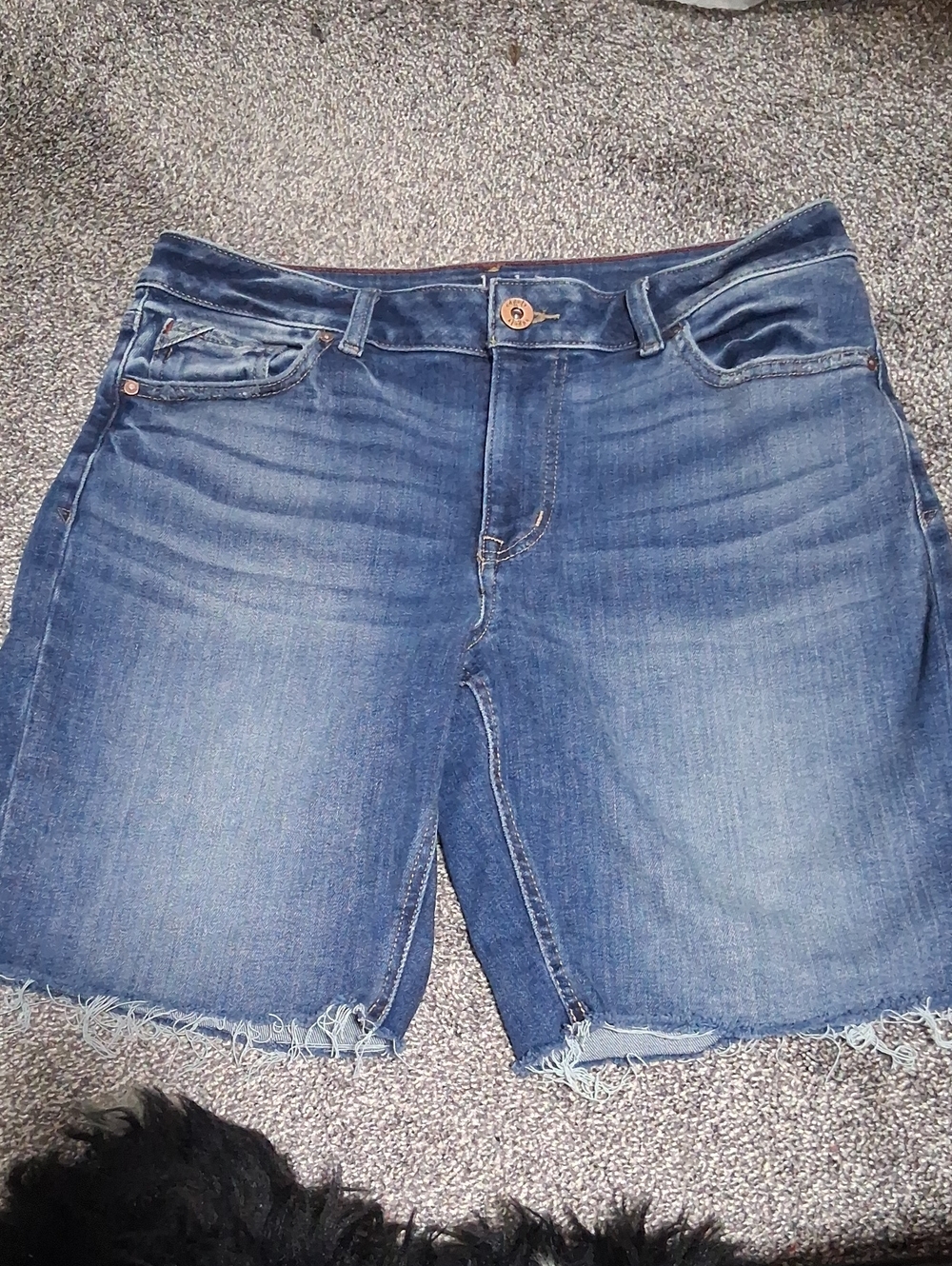 Classic Dark Blue Denim Jean Shorts with Frayed Hem